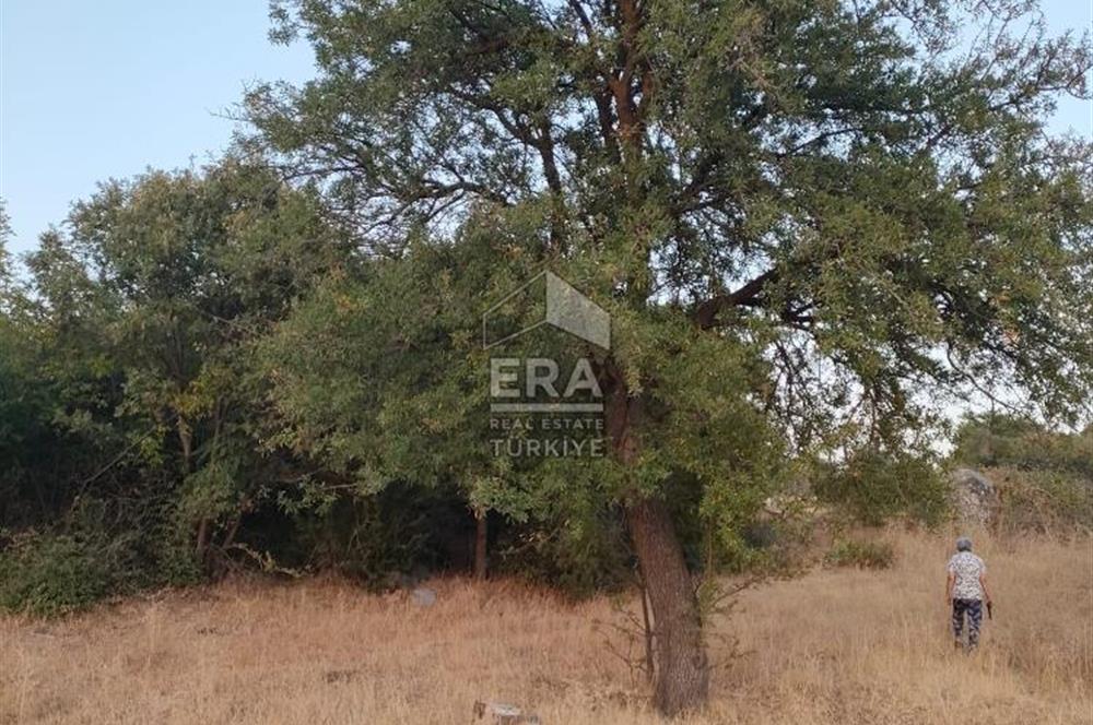 ERA PORT GÜVENCESİYLE ÇANAKKALE AYVACIK AKÇİN DE SATILIK TARLA 