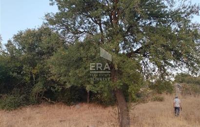 ERA PORT GÜVENCESİYLE ÇANAKKALE AYVACIK AKÇİN DE SATILIK TARLA 