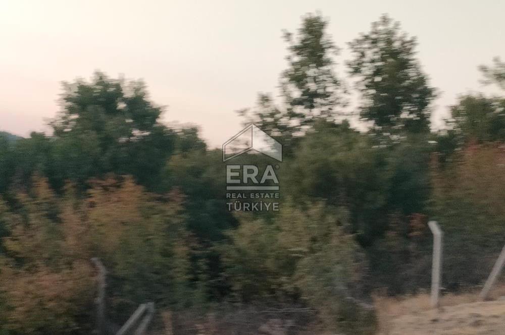 ERA PORT GÜVENCESİYLE ÇANAKKALE AYVACIK AKÇİN DE SATILIK TARLA 