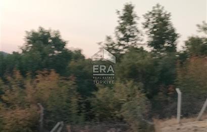 ERA PORT GÜVENCESİYLE ÇANAKKALE AYVACIK AKÇİN DE SATILIK TARLA 