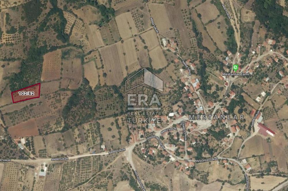 ERA PORT GÜVENCESİYLE KEPSUT MESTANLAR 2818m² SATILIK TARLA