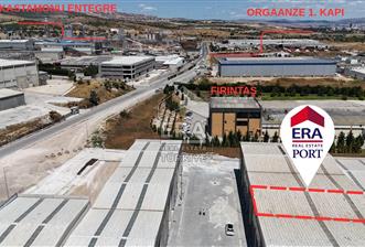 ERA PORT'TAN OSB MARANGOZLAR SİTESİNDE 240 M² KİRALIK DÜKKAN - 1 - 15490