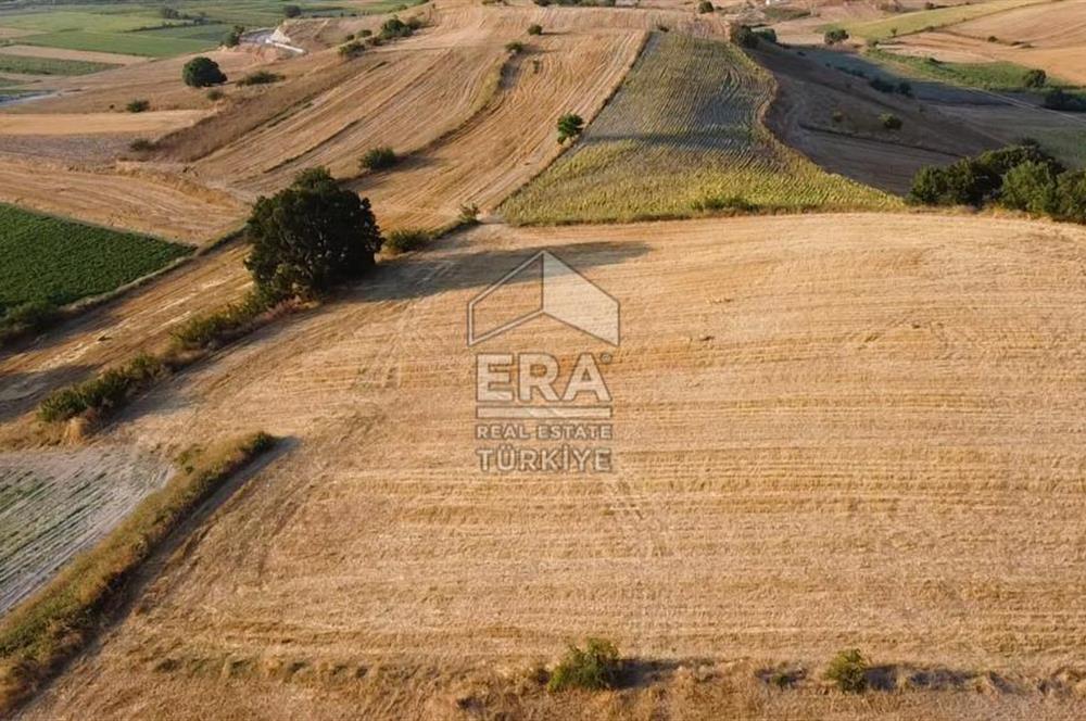 Susurluk'ta Sulama Kanalına 120m Mesafede Tarla
