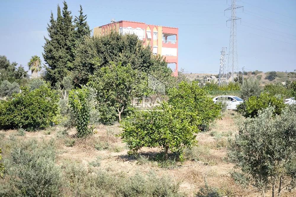 DEMİRCİLER MAHALLESİ'NDE 1636 M2 SATILIK TARLA 