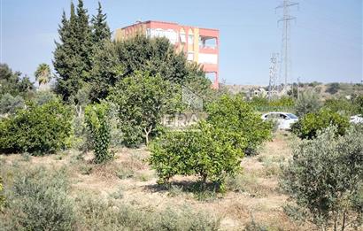 DEMİRCİLER MAHALLESİ'NDE 1636 M2 SATILIK TARLA 