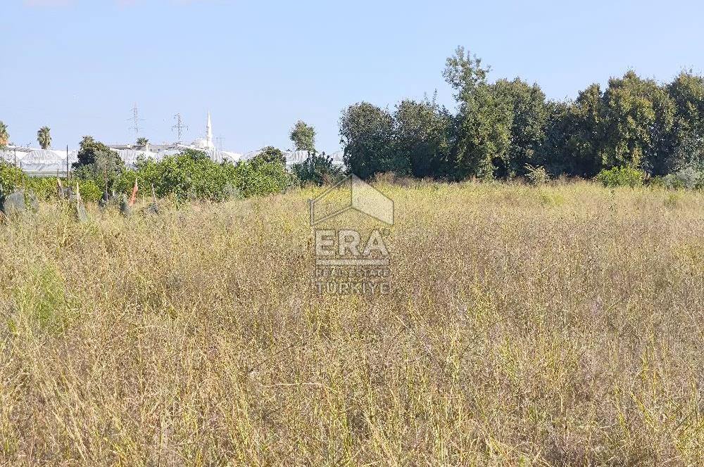 DEMİRCİLER MAHALLESİ'NDE 1636 M2 SATILIK TARLA 