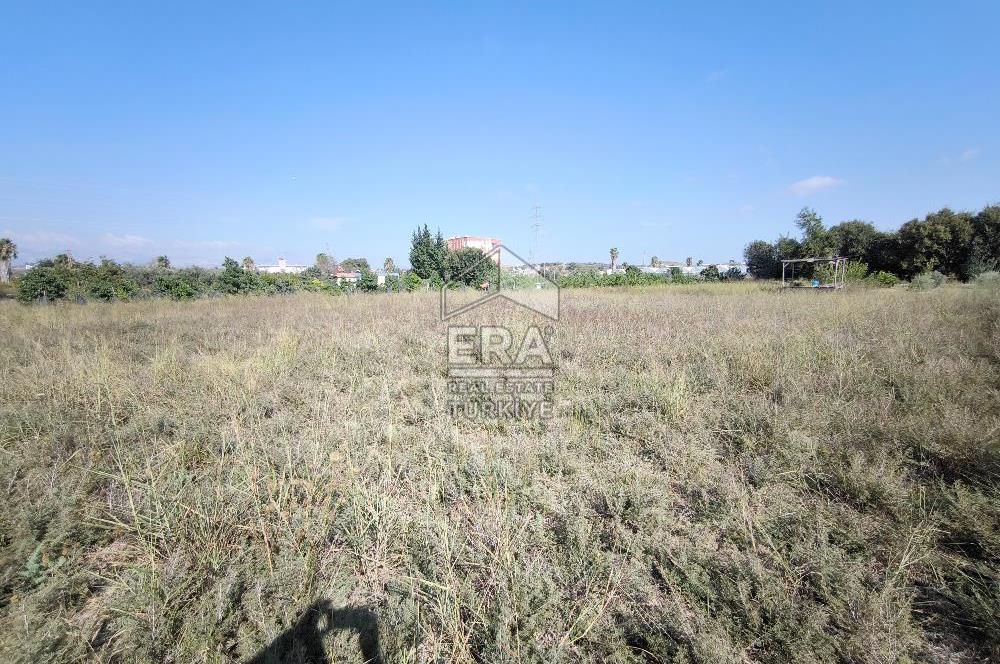 DEMİRCİLER MAHALLESİ'NDE 1636 M2 SATILIK TARLA 