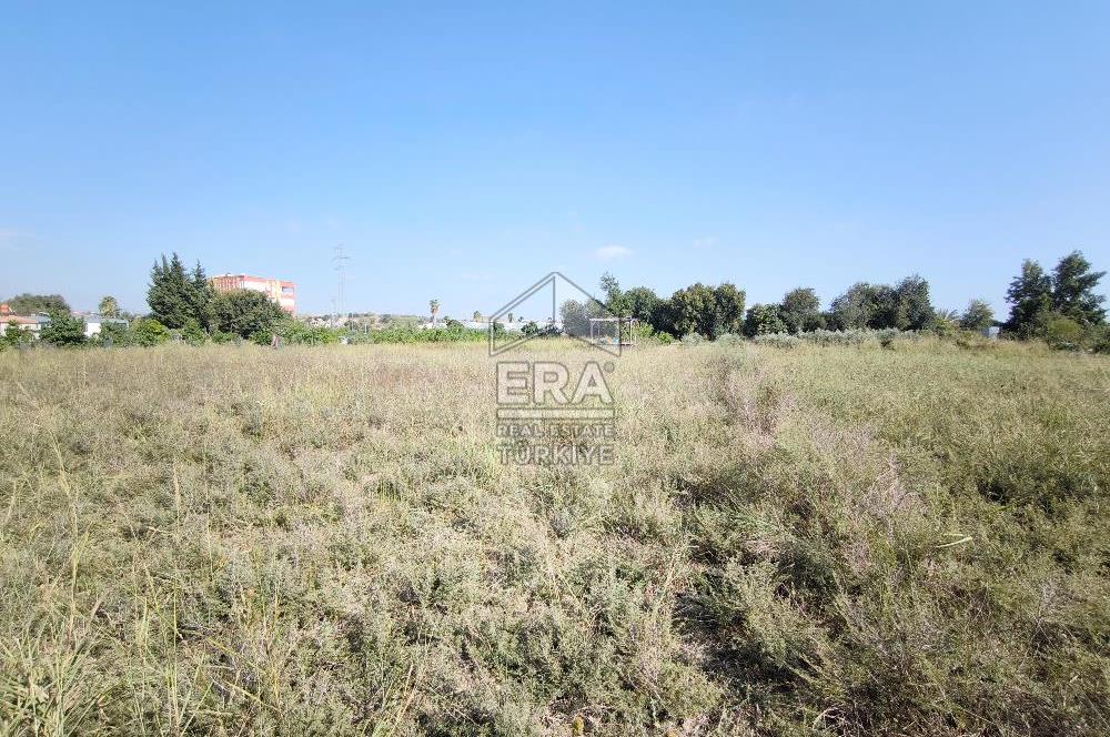 DEMİRCİLER MAHALLESİ'NDE 1636 M2 SATILIK TARLA 