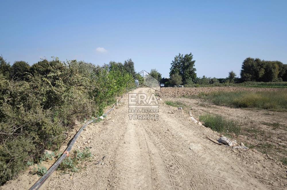DEMİRCİLER MAHALLESİ'NDE 1636 M2 SATILIK TARLA 