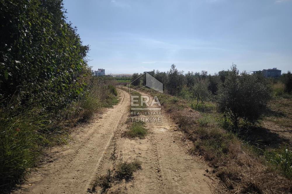 DEMİRCİLER MAHALLESİ'NDE 1636 M2 SATILIK TARLA 