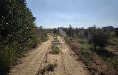 DEMİRCİLER MAHALLESİ'NDE 1636 M2 SATILIK TARLA 