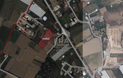 DEMİRCİLER MAHALLESİ'NDE 1636 M2 SATILIK TARLA 