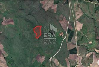 BALIKESİR KARESİ ŞAMLI DA SATILIK 13.750M² TARLA - 3 - 15604