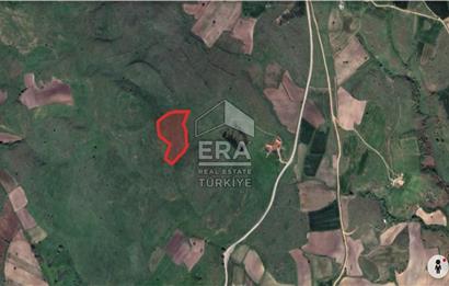 BALIKESİR KARESİ ŞAMLI DA SATILIK 13.750M² TARLA