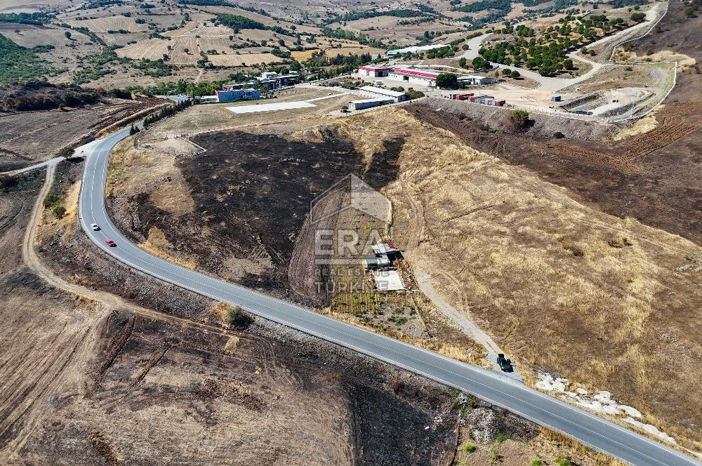 ERA SÖZDEN BALIKESİR KARESİ KAVAKLI’DA ASFALT YOLA CEPHELİ, ARTEZYEN KUYULU SATILIK CEVİZ BAHÇESİ