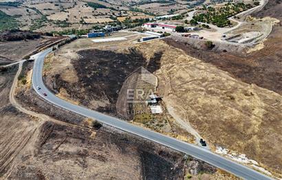 ERA SÖZDEN BALIKESİR KARESİ KAVAKLI’DA ASFALT YOLA CEPHELİ, ARTEZYEN KUYULU SATILIK CEVİZ BAHÇESİ