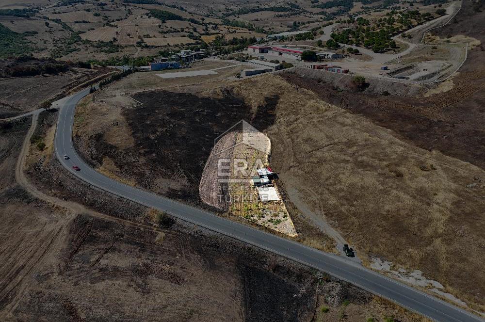 ERA SÖZDEN BALIKESİR KARESİ KAVAKLI’DA ASFALT YOLA CEPHELİ, ARTEZYEN KUYULU SATILIK CEVİZ BAHÇESİ