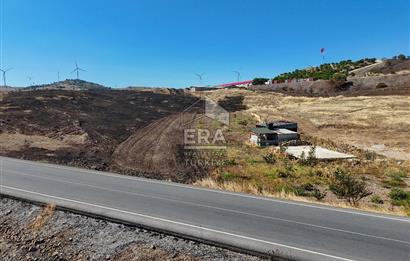 ERA SÖZDEN BALIKESİR KARESİ KAVAKLI’DA ASFALT YOLA CEPHELİ, ARTEZYEN KUYULU SATILIK CEVİZ BAHÇESİ