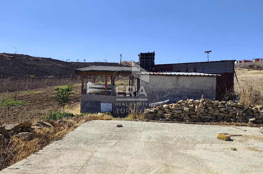 ERA SÖZDEN BALIKESİR KARESİ KAVAKLI’DA ASFALT YOLA CEPHELİ, ARTEZYEN KUYULU SATILIK CEVİZ BAHÇESİ
