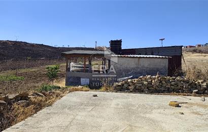 ERA SÖZDEN BALIKESİR KARESİ KAVAKLI’DA ASFALT YOLA CEPHELİ, ARTEZYEN KUYULU SATILIK CEVİZ BAHÇESİ