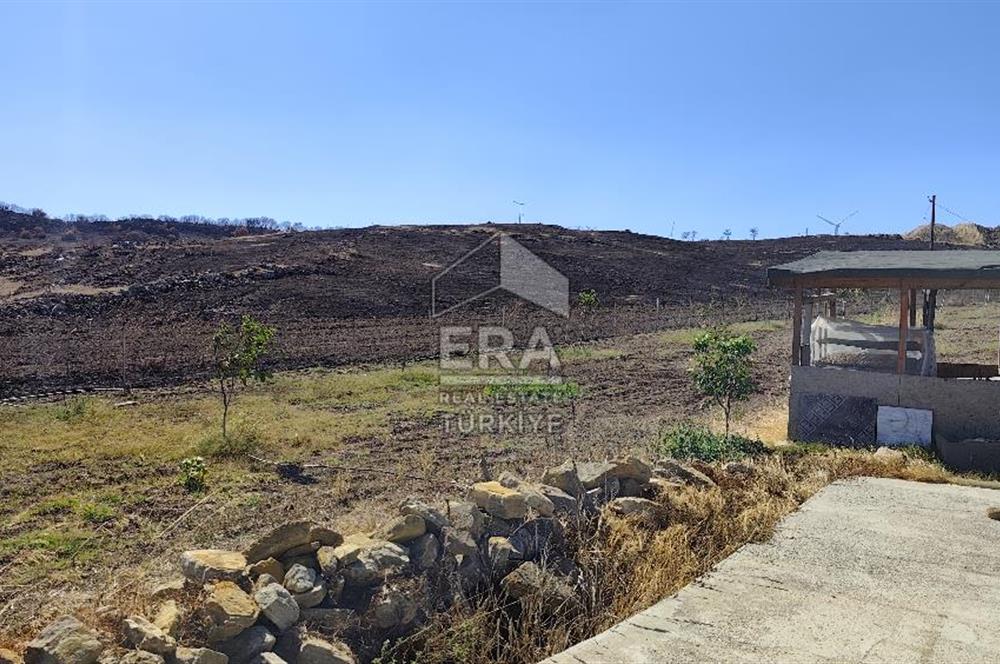 ERA SÖZDEN BALIKESİR KARESİ KAVAKLI’DA ASFALT YOLA CEPHELİ, ARTEZYEN KUYULU SATILIK CEVİZ BAHÇESİ