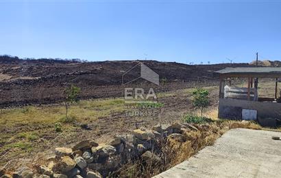 ERA SÖZDEN BALIKESİR KARESİ KAVAKLI’DA ASFALT YOLA CEPHELİ, ARTEZYEN KUYULU SATILIK CEVİZ BAHÇESİ