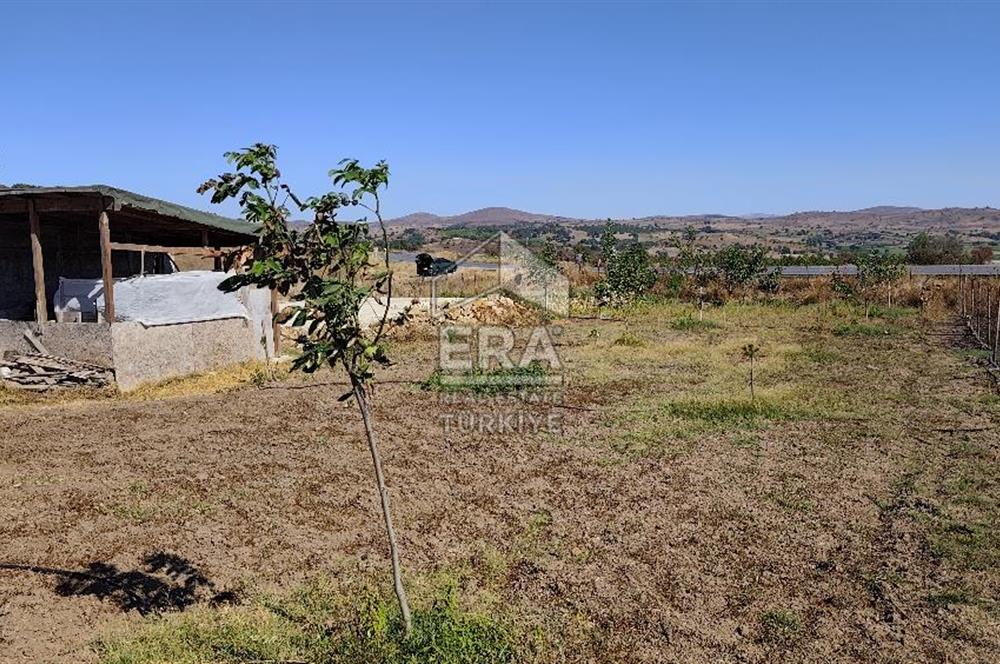 ERA SÖZDEN BALIKESİR KARESİ KAVAKLI’DA ASFALT YOLA CEPHELİ, ARTEZYEN KUYULU SATILIK CEVİZ BAHÇESİ