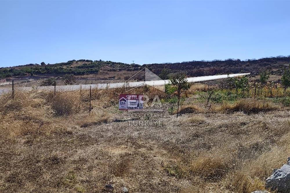 ERA SÖZDEN BALIKESİR KARESİ KAVAKLI’DA ASFALT YOLA CEPHELİ, ARTEZYEN KUYULU SATILIK CEVİZ BAHÇESİ