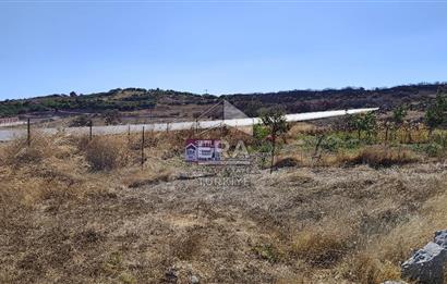 ERA SÖZDEN BALIKESİR KARESİ KAVAKLI’DA ASFALT YOLA CEPHELİ, ARTEZYEN KUYULU SATILIK CEVİZ BAHÇESİ