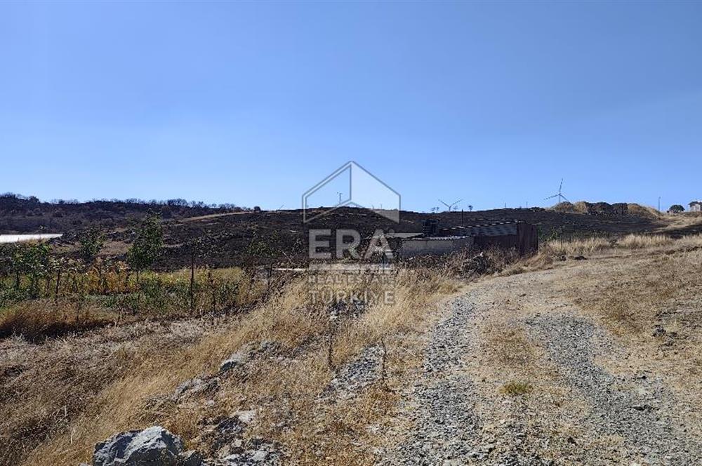 ERA SÖZDEN BALIKESİR KARESİ KAVAKLI’DA ASFALT YOLA CEPHELİ, ARTEZYEN KUYULU SATILIK CEVİZ BAHÇESİ