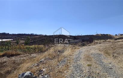 ERA SÖZDEN BALIKESİR KARESİ KAVAKLI’DA ASFALT YOLA CEPHELİ, ARTEZYEN KUYULU SATILIK CEVİZ BAHÇESİ
