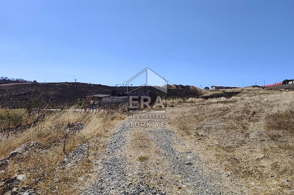 ERA SÖZDEN BALIKESİR KARESİ KAVAKLI’DA ASFALT YOLA CEPHELİ, ARTEZYEN KUYULU SATILIK CEVİZ BAHÇESİ