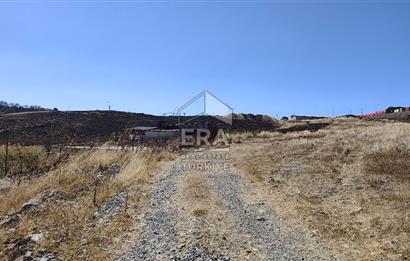 ERA SÖZDEN BALIKESİR KARESİ KAVAKLI’DA ASFALT YOLA CEPHELİ, ARTEZYEN KUYULU SATILIK CEVİZ BAHÇESİ