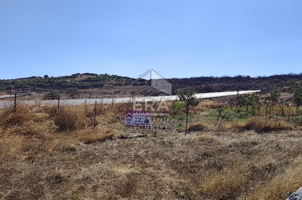 ERA SÖZDEN BALIKESİR KARESİ KAVAKLI’DA ASFALT YOLA CEPHELİ, ARTEZYEN KUYULU SATILIK CEVİZ BAHÇESİ
