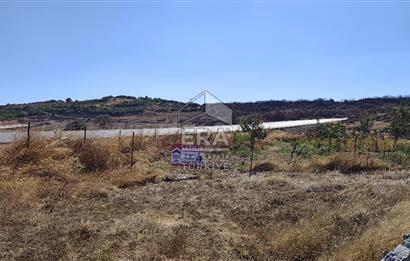 ERA SÖZDEN BALIKESİR KARESİ KAVAKLI’DA ASFALT YOLA CEPHELİ, ARTEZYEN KUYULU SATILIK CEVİZ BAHÇESİ