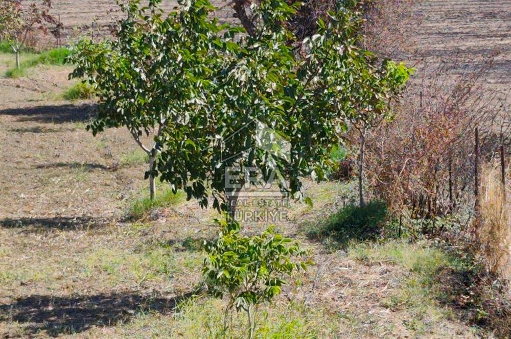 BALIKESİR KAVAKLIDA YATIRIMLIK TARLA