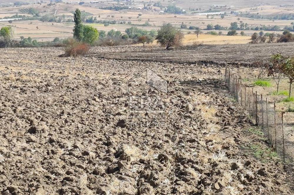 BALIKESİR KAVAKLIDA YATIRIMLIK TARLA