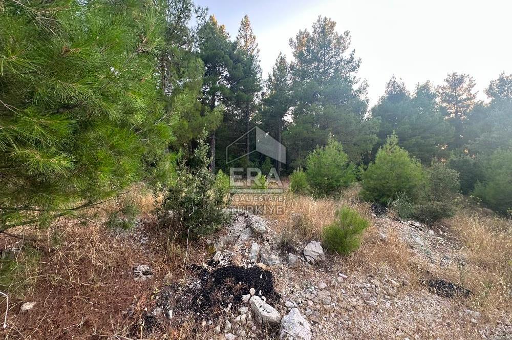 ANTALYA AKSEKİ EMİRAŞIKLAR MAHALLESİ SATILIK TEK TAPU TARLA
