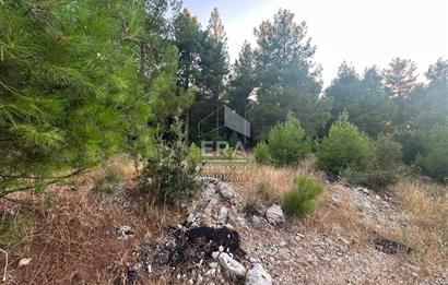 ANTALYA AKSEKİ EMİRAŞIKLAR MAHALLESİ SATILIK TEK TAPU TARLA