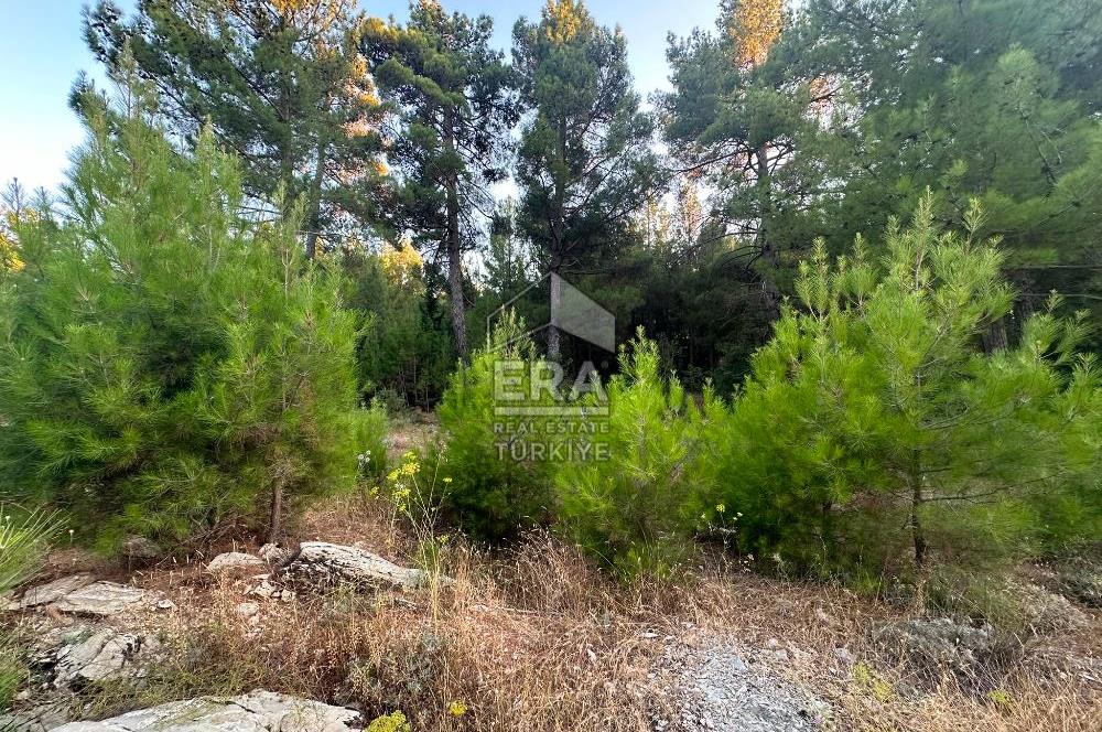 ANTALYA AKSEKİ EMİRAŞIKLAR MAHALLESİ SATILIK TEK TAPU TARLA
