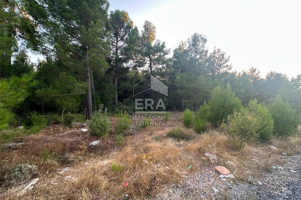 ANTALYA AKSEKİ EMİRAŞIKLAR MAHALLESİ SATILIK TEK TAPU TARLA