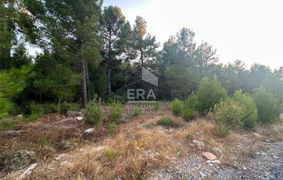 ANTALYA AKSEKİ EMİRAŞIKLAR MAHALLESİ SATILIK TEK TAPU TARLA