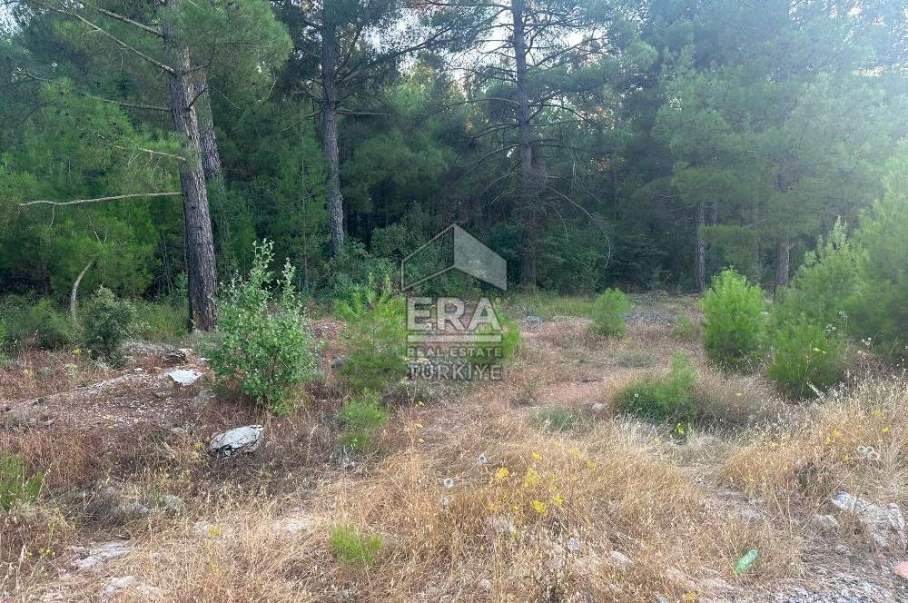 ANTALYA AKSEKİ EMİRAŞIKLAR MAHALLESİ SATILIK TEK TAPU TARLA