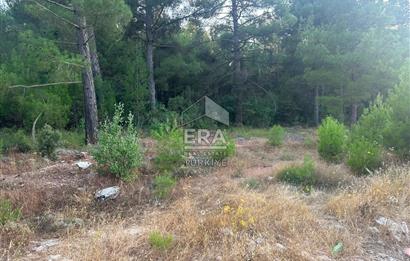 ANTALYA AKSEKİ EMİRAŞIKLAR MAHALLESİ SATILIK TEK TAPU TARLA
