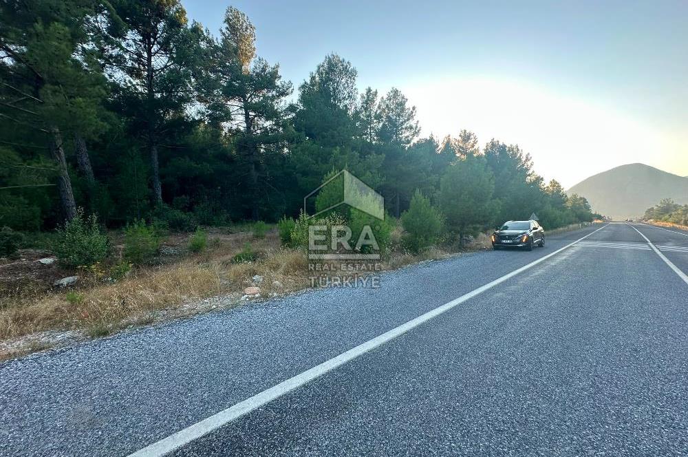 ANTALYA AKSEKİ EMİRAŞIKLAR MAHALLESİ SATILIK TEK TAPU TARLA