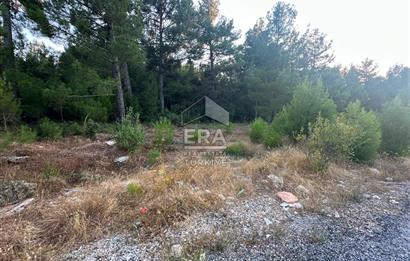 ANTALYA AKSEKİ EMİRAŞIKLAR MAHALLESİ SATILIK TEK TAPU TARLA