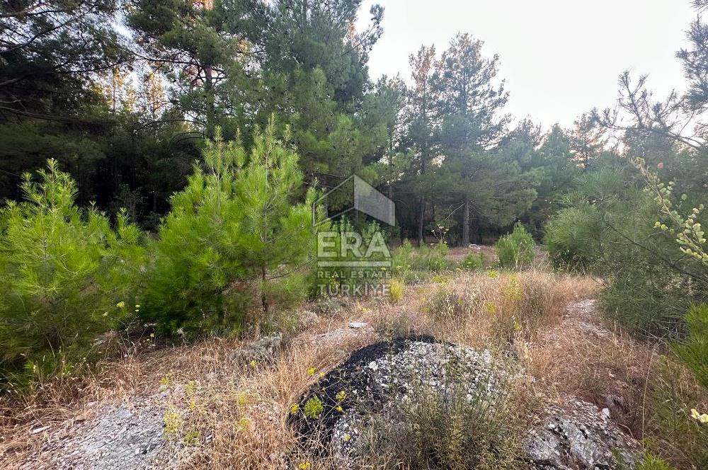 ANTALYA AKSEKİ EMİRAŞIKLAR MAHALLESİ SATILIK TEK TAPU TARLA