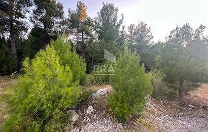 ANTALYA AKSEKİ EMİRAŞIKLAR MAHALLESİ SATILIK TEK TAPU TARLA