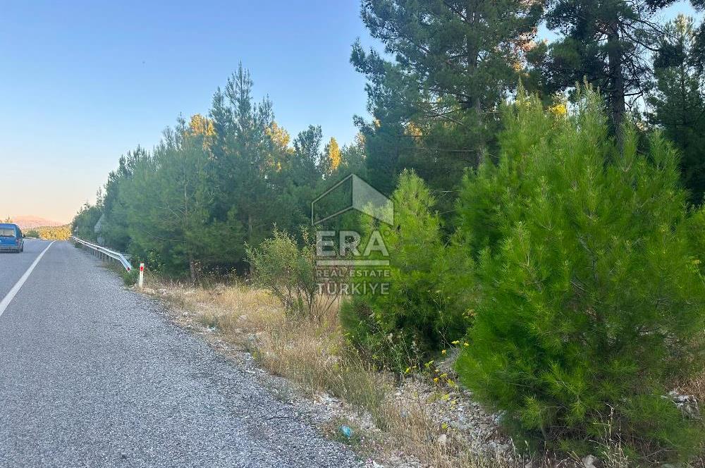 ANTALYA AKSEKİ EMİRAŞIKLAR MAHALLESİ SATILIK TEK TAPU TARLA