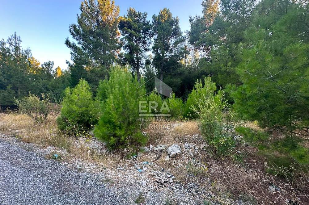 ANTALYA AKSEKİ EMİRAŞIKLAR MAHALLESİ SATILIK TEK TAPU TARLA